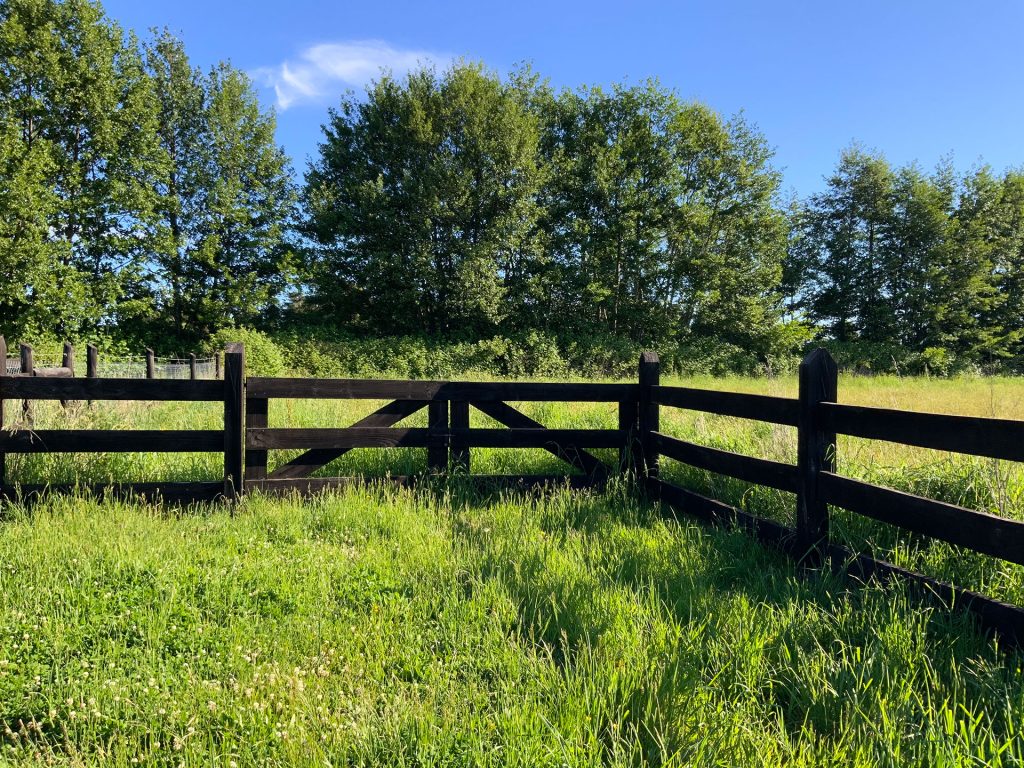 Se vende parcela lista para construir en Frutillar